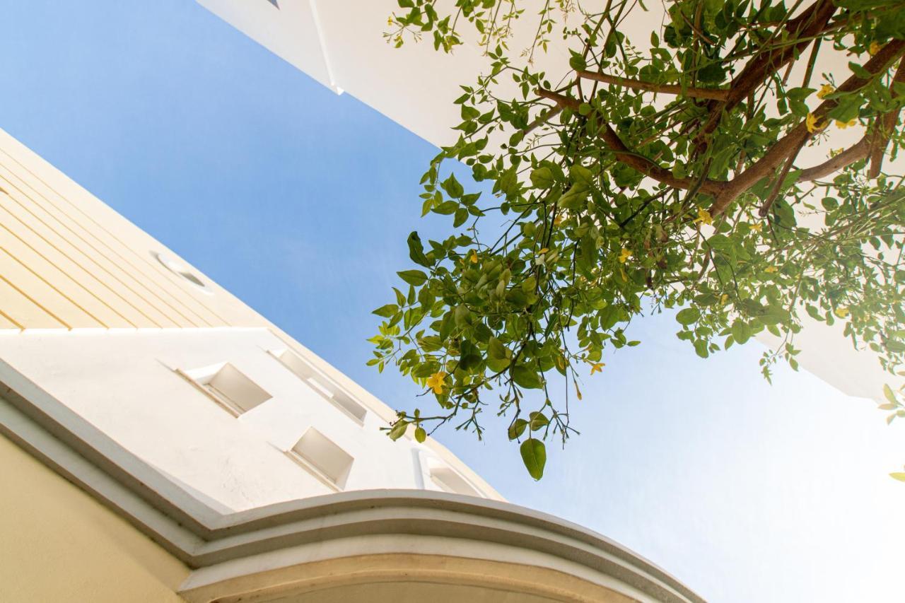 Diamante Beachfront Suites Xylokastro Ngoại thất bức ảnh